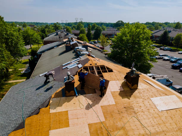 Best Flat Roof Repair Services  in Lake Hallie, WI