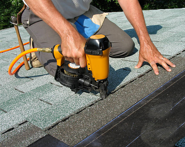 Best Roof Gutter Cleaning  in Lake Hallie, WI