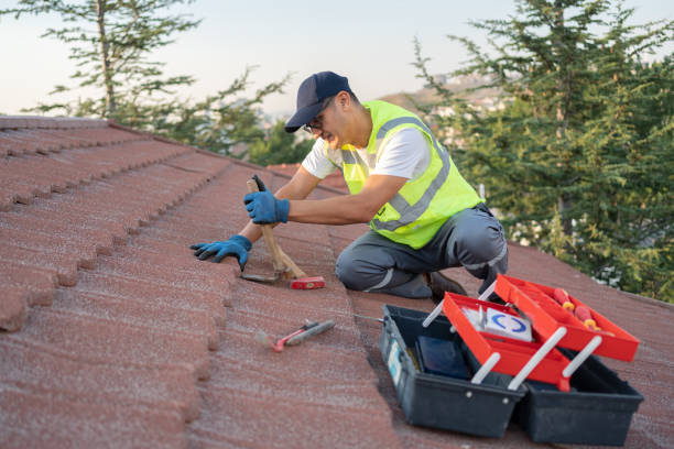 Best Shingle Roofing Installation  in Lake Hallie, WI